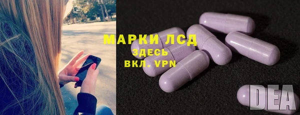 гашик Майский