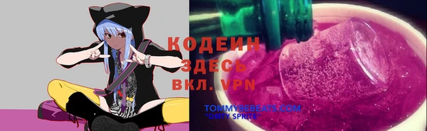 гашик Майский