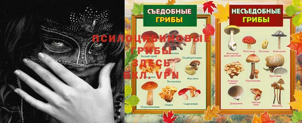 гашик Майский