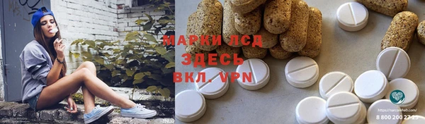 гашик Майский