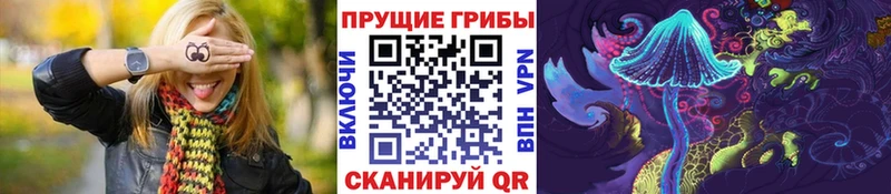 Галлюциногенные грибы мицелий  Павловск 